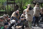 51 DSC_0509