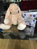 IMG-20180201-WA0005