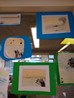 IMG_20190129_163259789