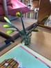 thumbnail_IMG_7713