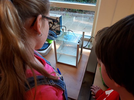 thumbnail_20190401_103931