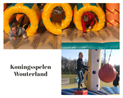 Ontwerp zonder titel