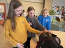IMG_6433