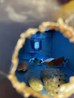 thumbnail_IMG_1461