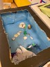 thumbnail_IMG_1462