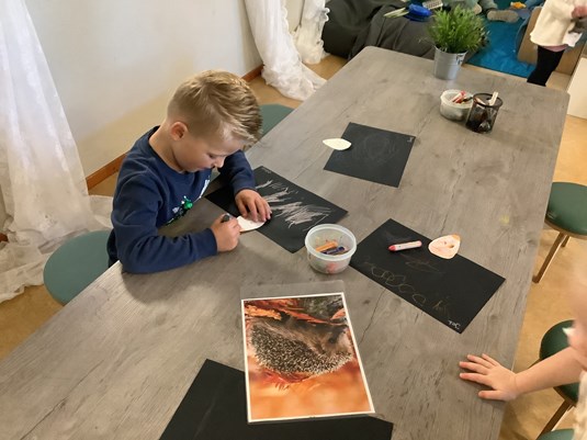 egels kleuren