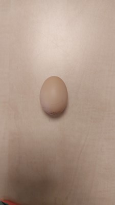 20221118_130830