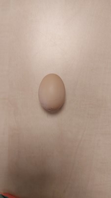 20221118_130830