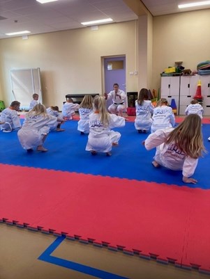 judo