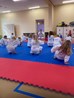 judo