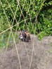 IMG-20230413-WA0002