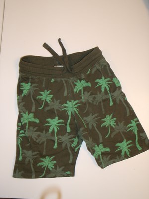 Korte broek met palmbomen