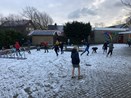 IMG_3682